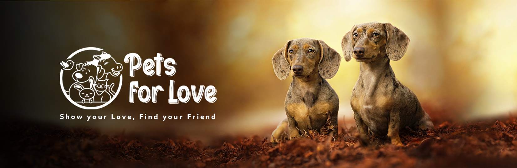 pets for love uk